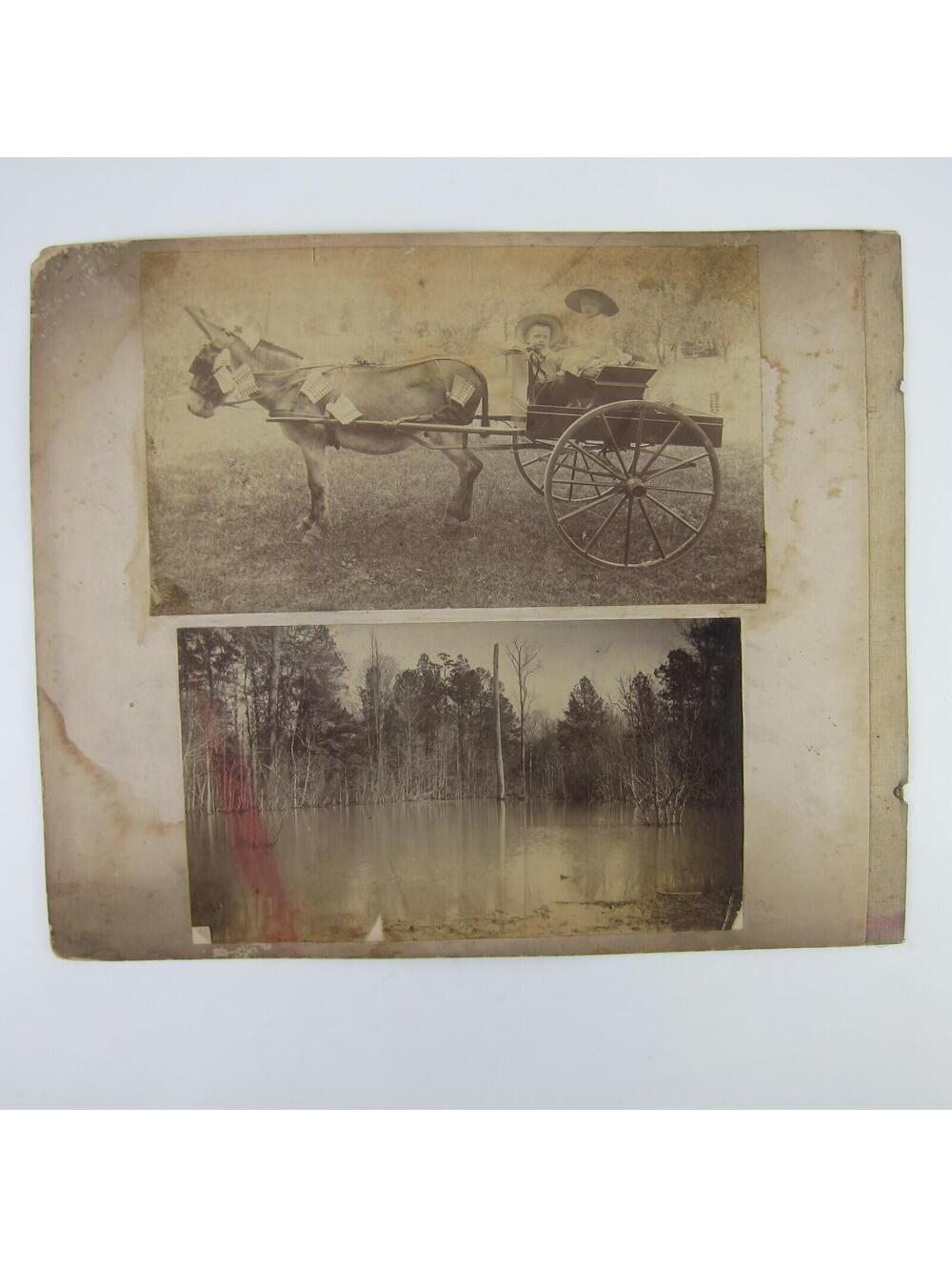 Antique Photographs 1880s Children Boy & Girl at Creek Ride Donkey Cart Lot of 4 - Picture 6 of 12